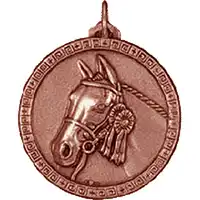 38mm Bronze Equestrian Medal