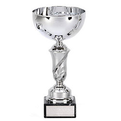 Emblem Silver Cup 5 inch