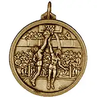 38mm Gold Netball Medals