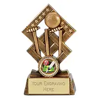5.25in Cube Cricket Award