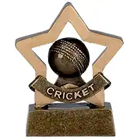 Mini Star Cricket 8cm