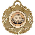 Star50 Medal