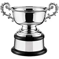 9.75in Equine Bowl Silver Plated Cup Complete