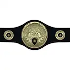 Black Champions Belt Boxing Male