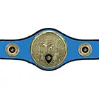 Blue Champions Belt Kickboxing or Thai