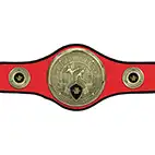 Red Champions Belt Kickboxing or Thai