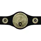 Black Champions Belt Judo or Jujitsu