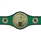 Green Champions Belt Judo or Jujitsu