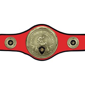 Red Champions Belt Judo or Jujitsu