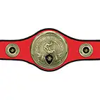 Red Champions Belt Judo or Jujitsu