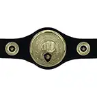 Black Champions Belt Martial Arts