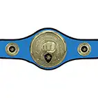 Blue Champions Belt Martial Arts