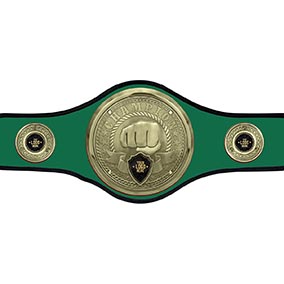 Green Champions Belt Martial Arts