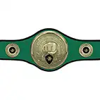 Green Champions Belt Martial Arts