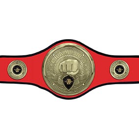 Red Champions Belt Martial Arts