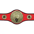 Red Champions Belt Martial Arts