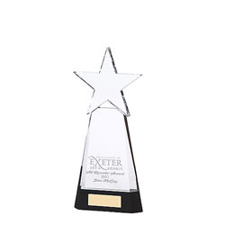 Houston Crystal Award 230mm