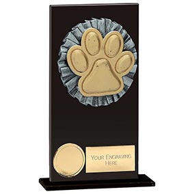 Euphoria Hero Black Glass Dog Agility Award 160mm