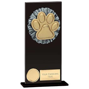 Euphoria Hero Black Glass Dog Agility Award 180mm