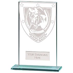 Millenium Glass Equestrian Award 140mm