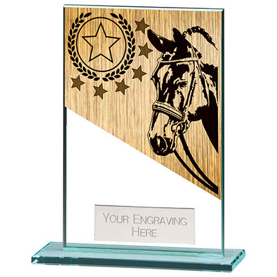 125mm Mustang Glass Equestrian Award