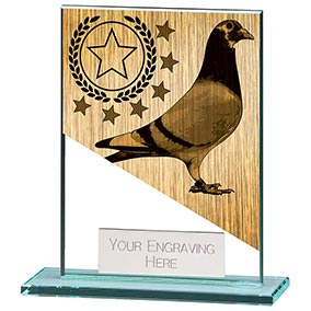 110mm Mustang Pigeon Glass Award