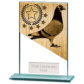 125mm Mustang Pigeon Glass Award