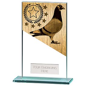 140mm Mustang Pigeon Glass Award