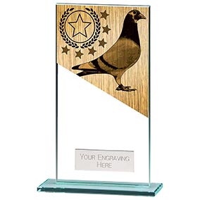 160mm Mustang Pigeon Glass Award