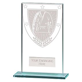 Millenium Glass Martial Arts Award 140mm