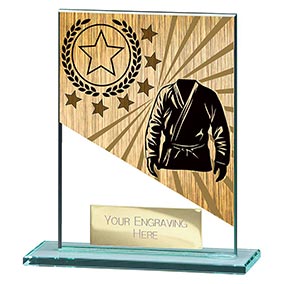 110mm Mustang Glass Martial Arts Award