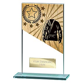 140mm Mustang Glass Martial Arts Award