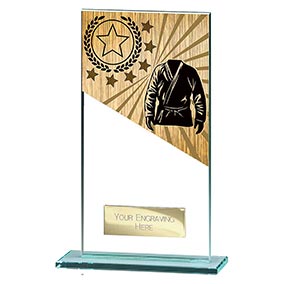 160mm Mustang Glass Martial Arts Award