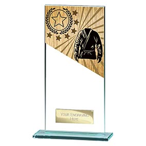 180mm Mustang Glass Martial Arts Award