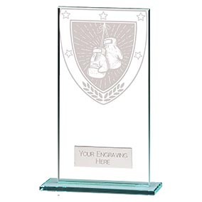 Millenium Glass Boxing Award 160mm