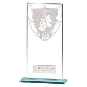 Millenium Glass Boxing Award 180mm