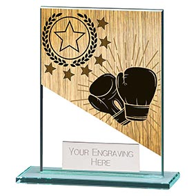 110mm Mustang Glass Boxing Award