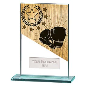 125mm Mustang Glass Boxing Award