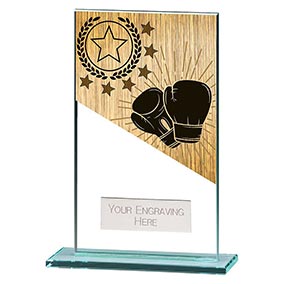 140mm Mustang Glass Boxing Award