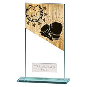 160mm Mustang Glass Boxing Award