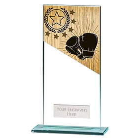 180mm Mustang Glass Boxing Award