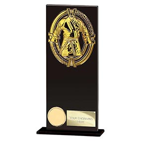 Maverick Fusion Black Glass Martial Arts Award 200mm