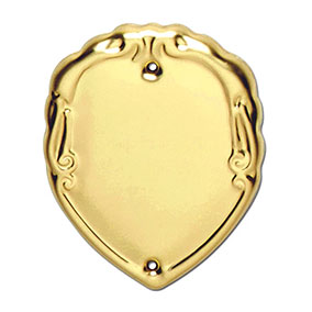Engraved Gold Shield 45mm Engraved Gold Shield 45mm