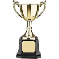 5.25in Worldwide Gold Finish Cup Award