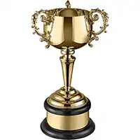 14.5in Equine Cup Gold Plated Cup Complete