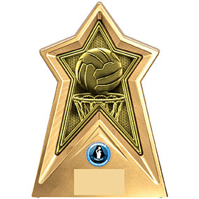 Starforce Netball Award 20cm Starforce Netball Award 20cm