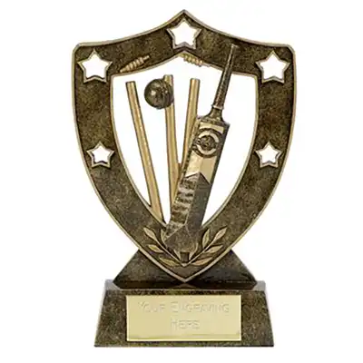 Shield Star Cricket Award 8in
