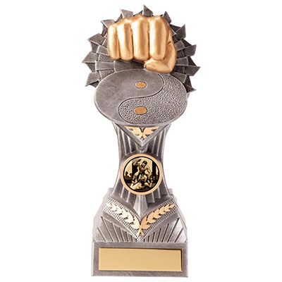 Falcon Martial Arts Trophy 180mm