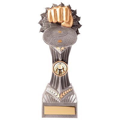 Falcon Martial Arts Trophy 210mm