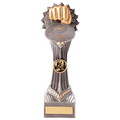 Falcon Martial Arts Trophy 240mm